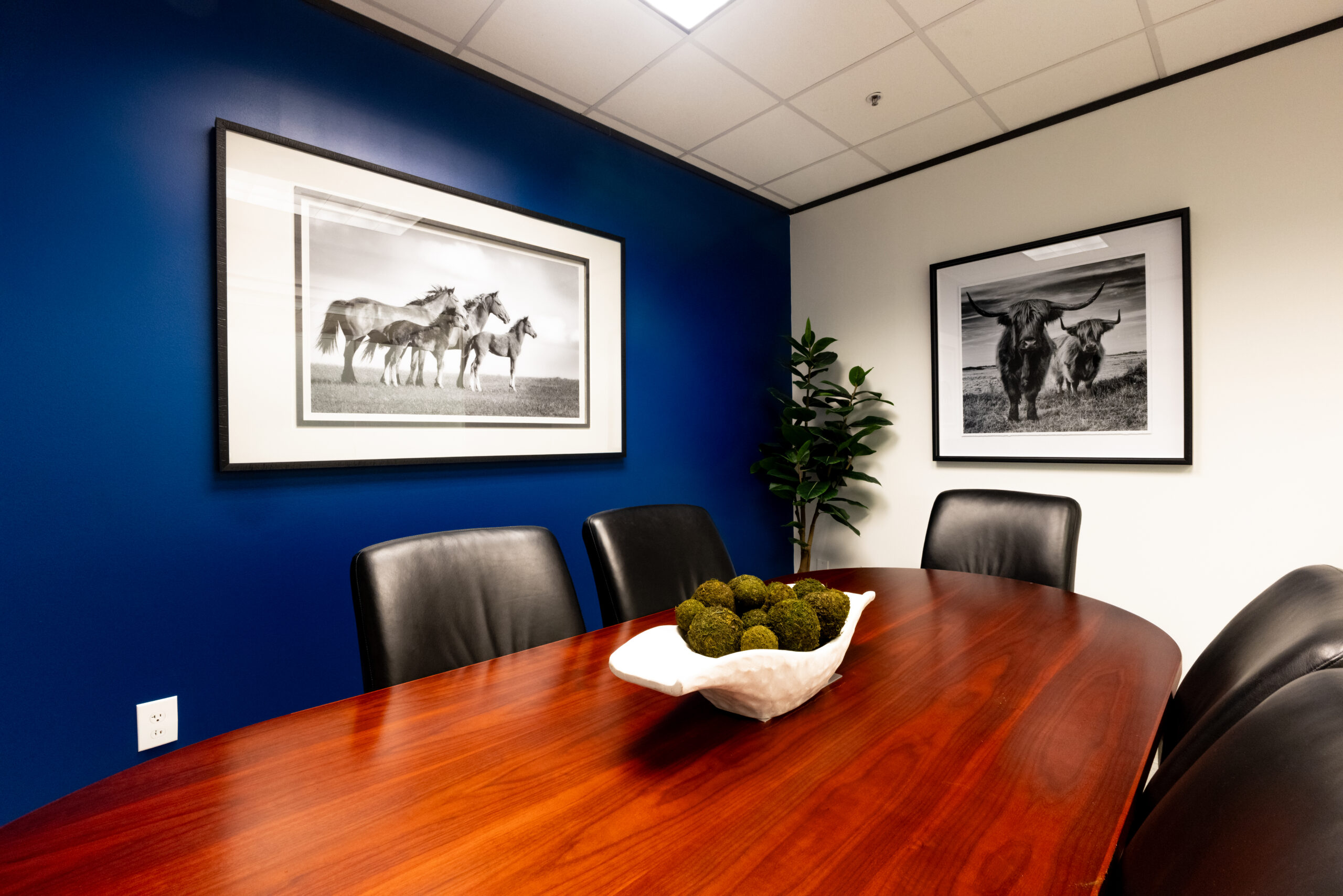 Southtrust Bank-Galleries