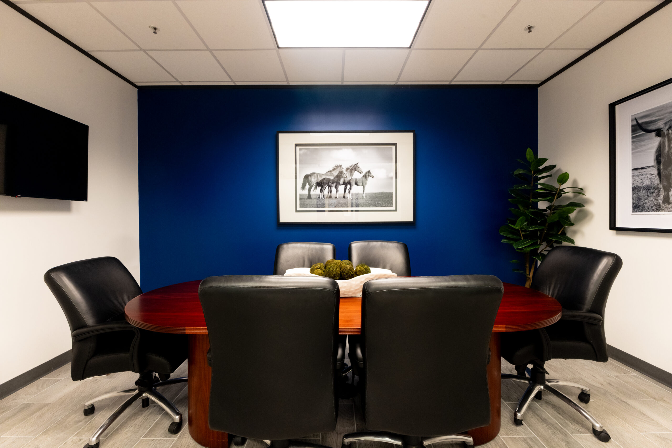 Southtrust Bank-Galleries