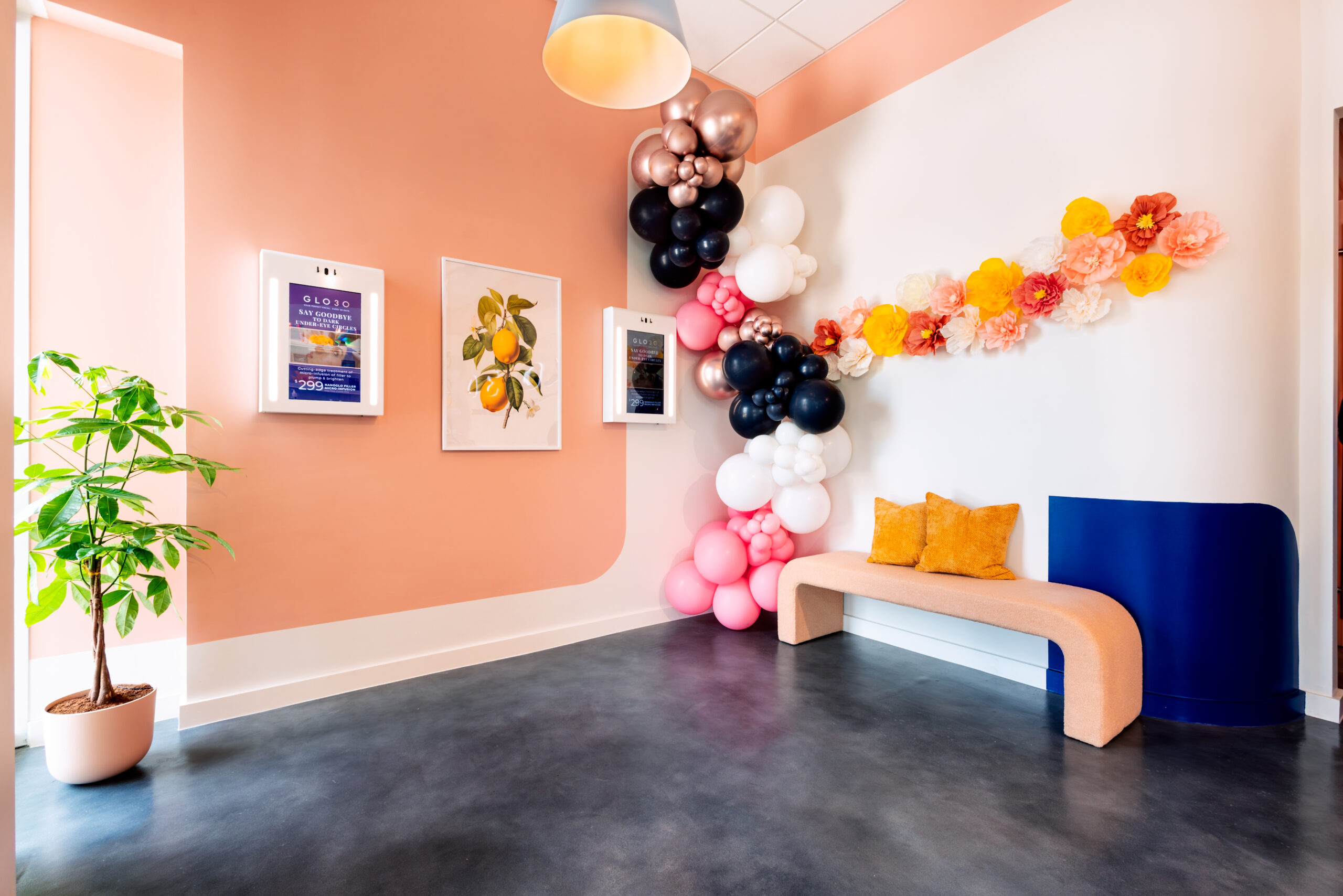 Glo 30 (Montrose)-Galleries